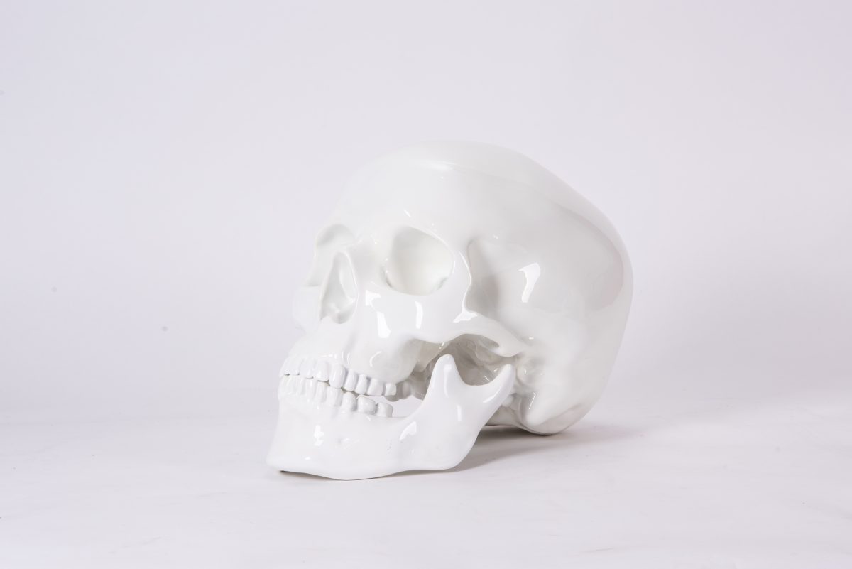 Skull white - Toni Mitkovski